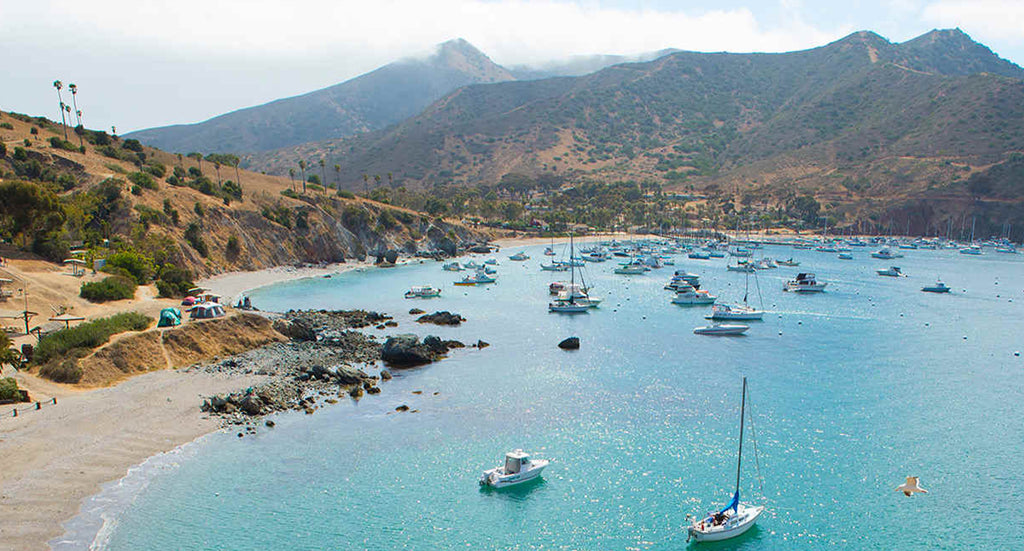 Best Camping Spots in California